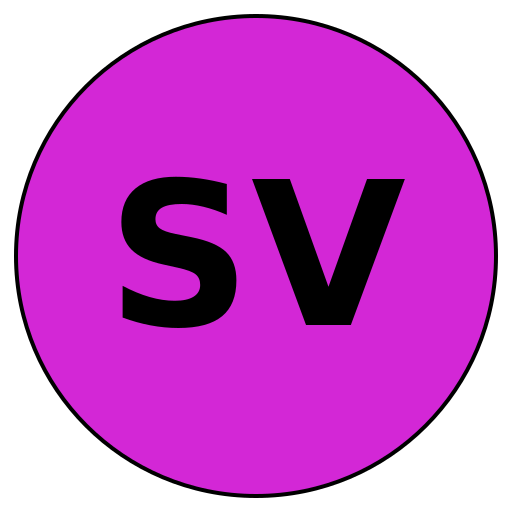 Savvy Voyage